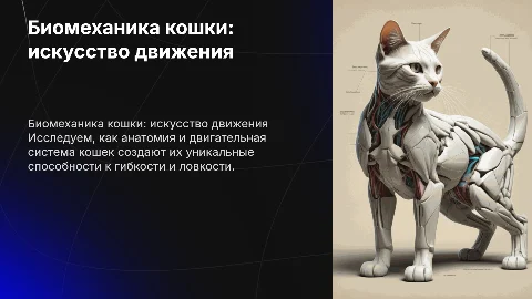 Биомеханика кошки