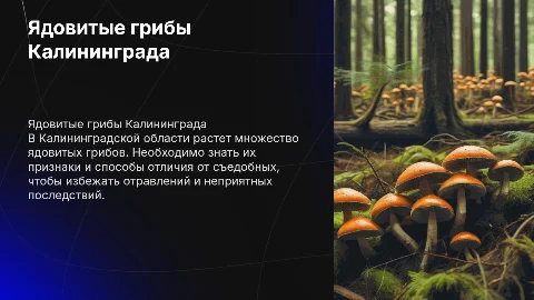 Ядовитые грибы в Калининграде