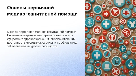 Основы первичной медико-санитарной помощи