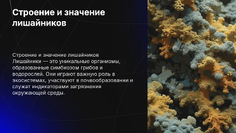 Строение и значение лишайников