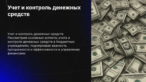 Учет и контроль денежных средств в бюджетных учреждениях