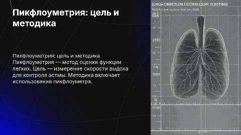 пикфлоуметрия. цель. методика проведения