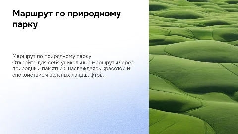 Презентация в зеленых тонах про маршрут по природному парку