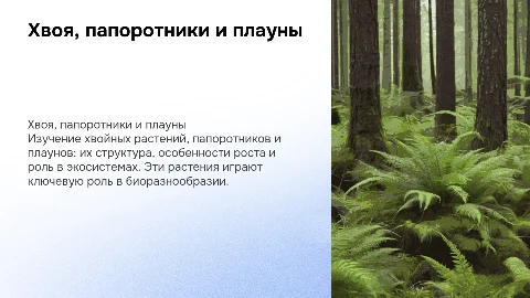 Хвоя, папоротники и плауны