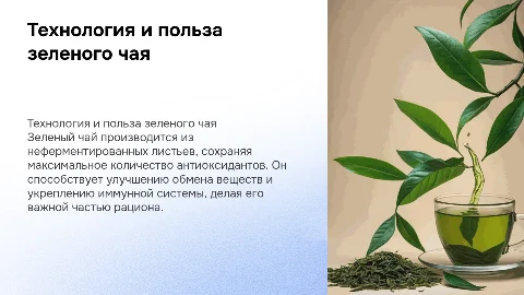 Технология получения зеленого чая и его значение в рационе