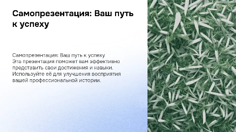 Самопрезентация с фото в белых, зеленых и синих тонах
