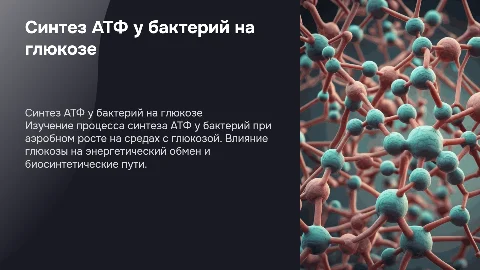 Синтез молекул АТФ у бактерий при аэробном росте