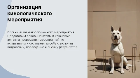 Организация кинологического мероприятия: испытания и состязания собак