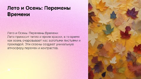 Лето и осень