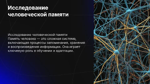 Человеческая память