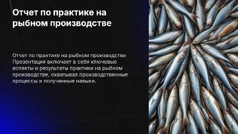 Отчет по практике на рыбном производство, не слишком темные слайды