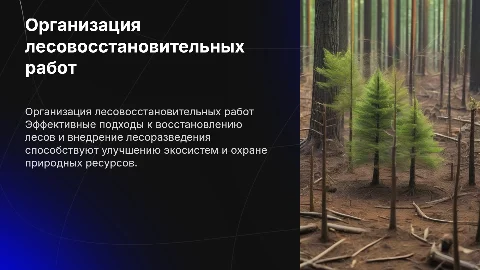 Организация мероприятий по воспроизводству лесов