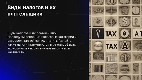 виды налогов и кто их платит