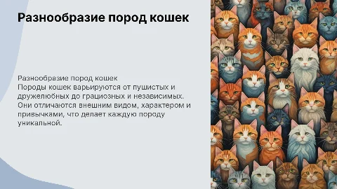 породы кошек