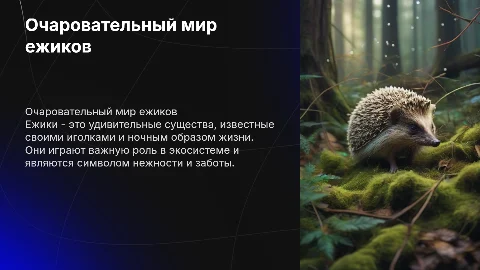 ёжики