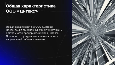 Общая характеристика предприятия ООО «Дитекс»