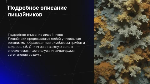 Лишайники описание одного вида подробно