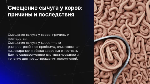смещение сычуга у коров