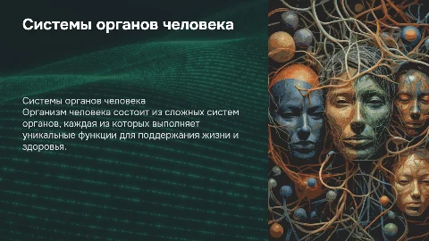 системы органов