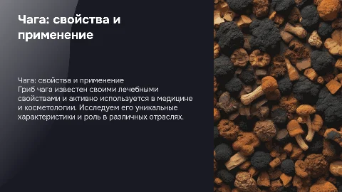 Характеристика гриба чага и его применение в медицине