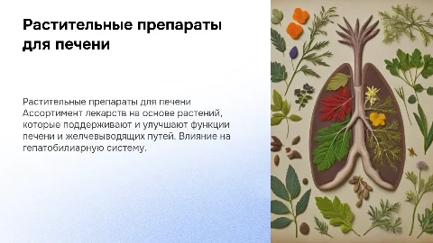 Аптечный ассортимент растительных препаратов для печени