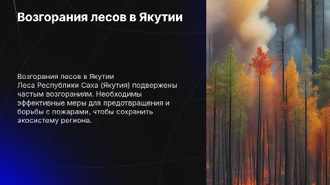 Проблема возгорания лесного массива в Республике Саха