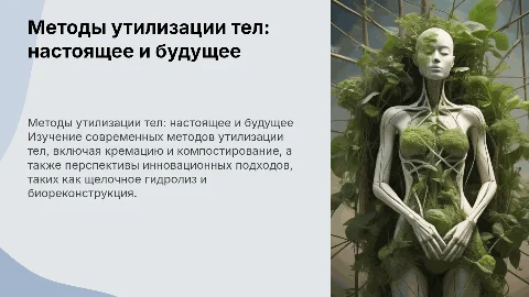 Методы утилизации тел умерших.настоящее и перспективы