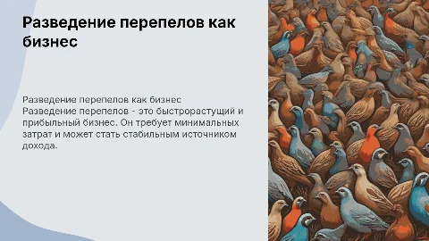 Разведение перепелов как бизнес