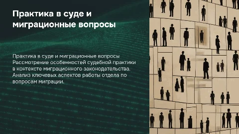 практика в суде и отдел по вопросам миграции