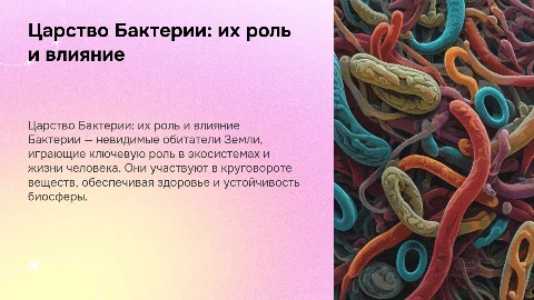 Царство Бактерии: их роль и влияние на жизнь человека