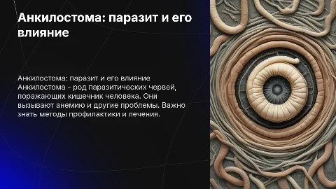 Анкилостома
