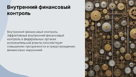 Внутренний финансовый контроль в ФОИВах