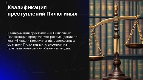 Презентация по квалификации преступлений братьев Пилюгиных