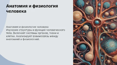 анатомия и физиология человека