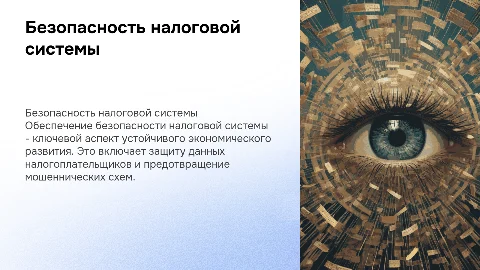 Безопасность налоговой системы