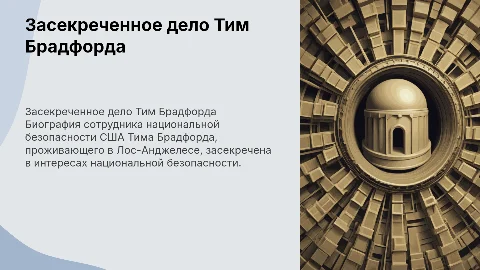 Засекреченное дело Тима Брадфорда о нацбезопасности США