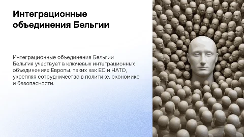 Интеграционные объединения, в которые входит Бельгия