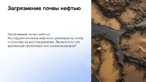 Загрязнение почвы нефтью: экокатастрофа или временная проблема