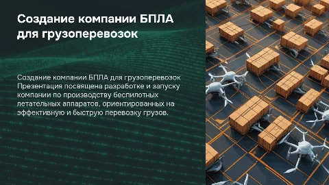 Презентация для инвестора по созданию компании БПЛА