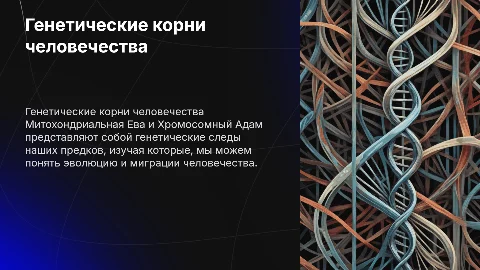 Митохондриальная Ева и Хромосомный Адам: генетические следы