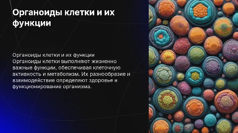 органоиды клетки и их функции
