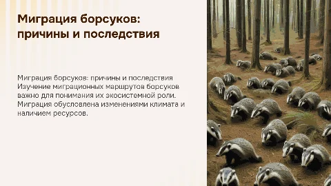 миграция борсуков