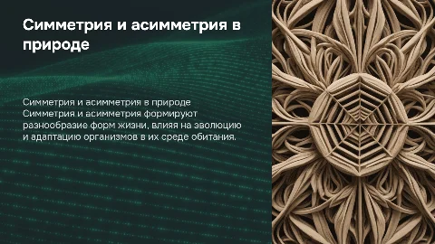 Симметрия и асимметрия в живой природе
