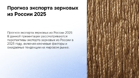 Прогноз экспорта зерновых из России на 2025 год