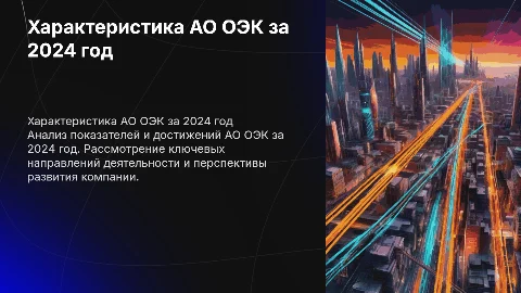 Характеристика АО ОЭК за 2024г