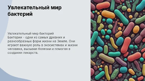 мир бактерий 5 класс
