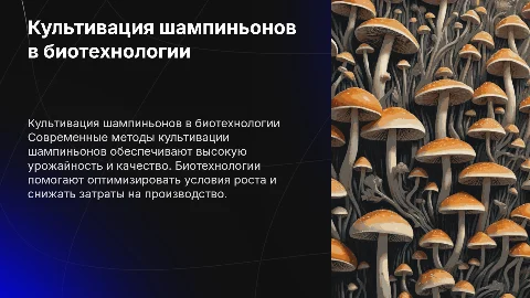 культивация шампиньонов в биотехнологии
