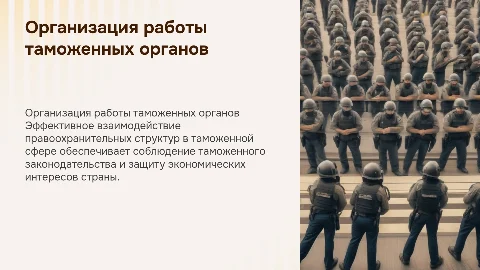 Организация правоохранительной деятельности в таможенных органах