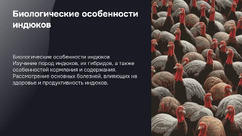 Биологические особенности индюков: породы, гибриды и болезни