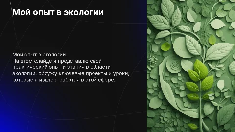Мой опыт в экологии